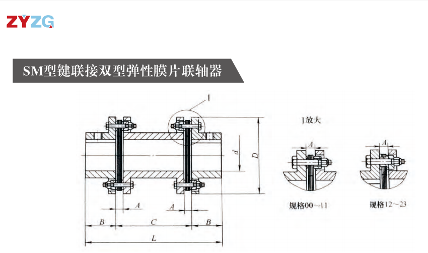 SM型鍵連接雙型彈性膜片午夜福利视频一区